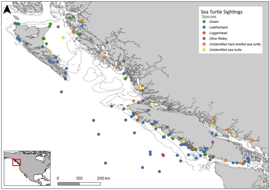 ece372513 fig 0002 m