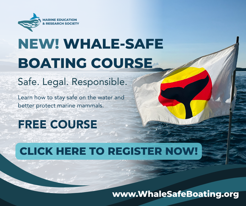 Boater Course Launch Facebook (landscape) (1)